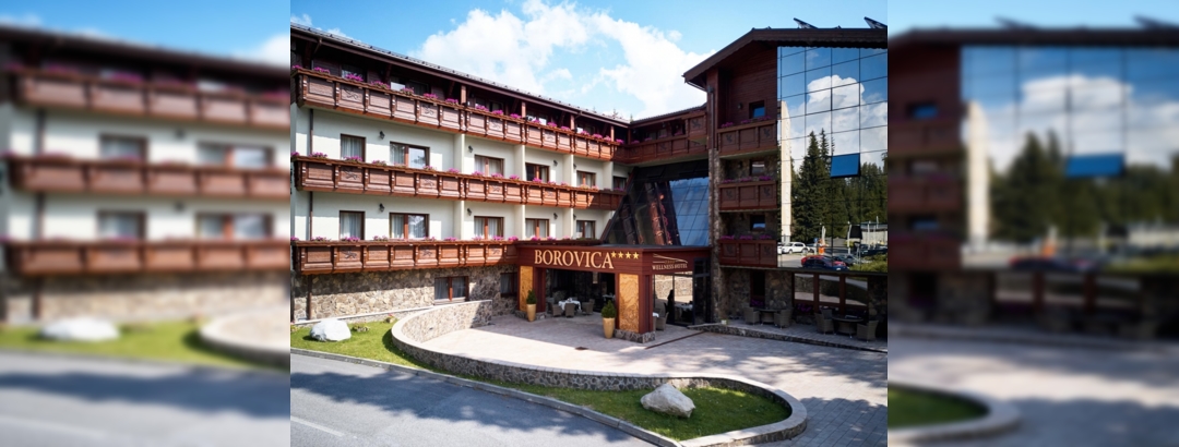 WELLNESS HOTEL BOROVICA