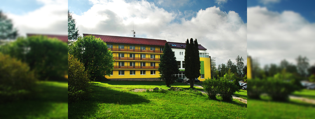 HOTEL LESANA