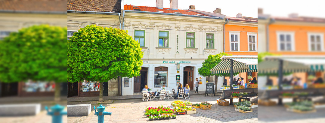 VILLA REGIA RESTAURANT & PENZION